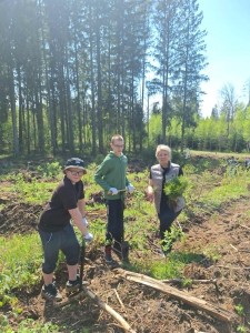 d9851390-fb62-4880-aacc-dafb5c8d7415